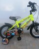 12" BMX Trail Racer