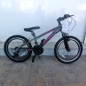 20" MTB Alpina Αλουμινίου 21v