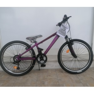 24" Carrera M4 2000 V-BR