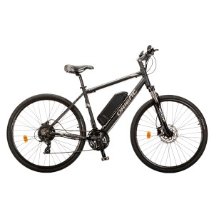 28" Orient Street e-bike