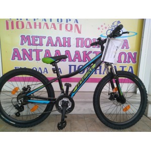 24" Ideal Strobe Disc