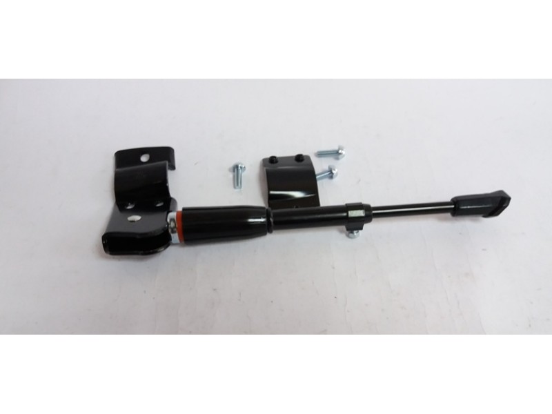 Σταντ ποδηλάτου πίσω ρυθμιζόμενο με πλάκα (39220)