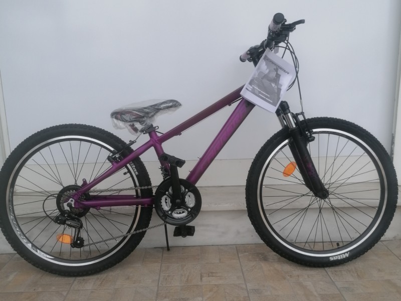 24" Carrera M4 2000 V-BR