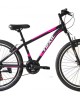 24" Trail Racer